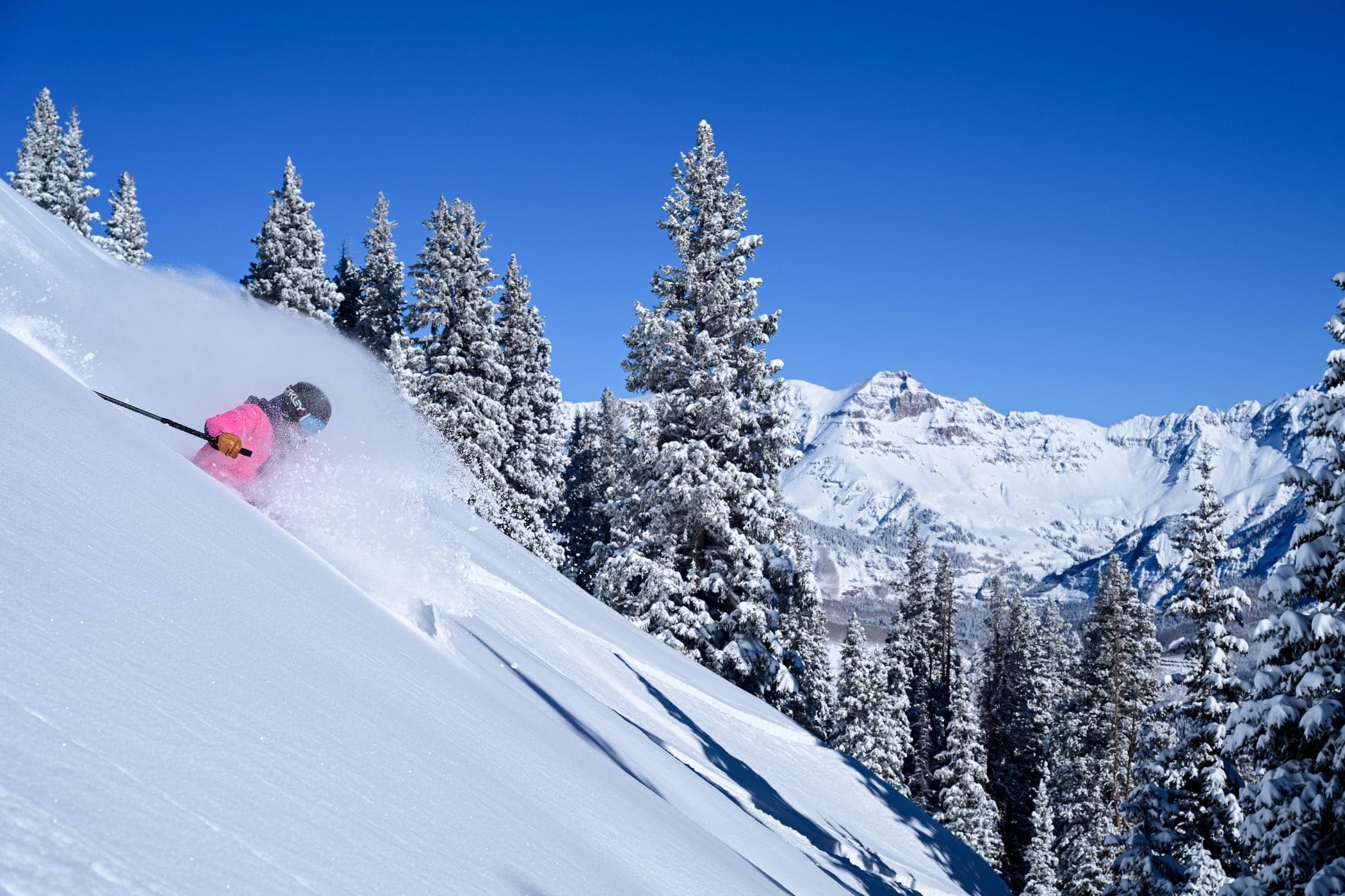 A skier in a pink jacket turning through deep powder among snow-loaded pines.
